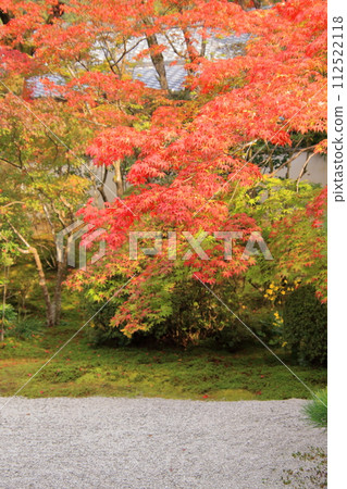京都南禪寺天守庵的秋葉 112522118