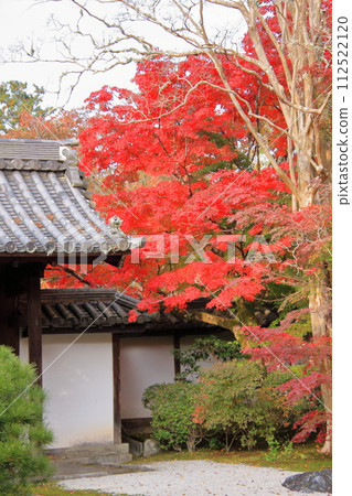 京都南禪寺天守庵的秋葉 京都南禪寺天守庵的秋葉 112522120