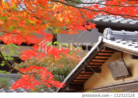 Autumn leaves in Kyoto Nanzenji Temple Tenju-an 112522128