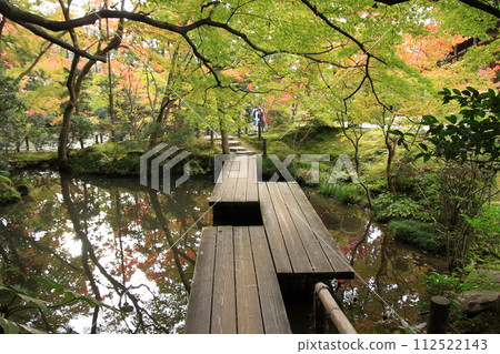 京都南禪寺天守庵的秋葉 京都南禪寺天守庵的秋葉 112522143
