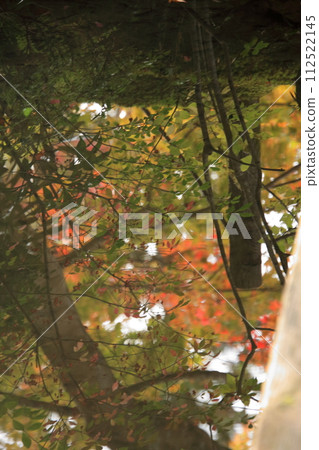 Autumn leaves in Kyoto Nanzenji Temple Tenju-an Autumn leaves in Kyoto Nanzenji Temple Tenju-an 112522145