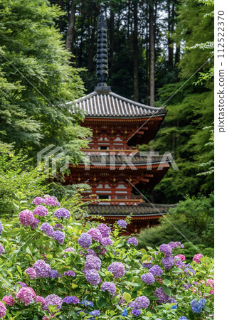 Iwafune Temple Triple Tower and Hydrangea 112522370