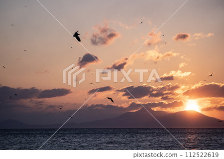 Great eagles in the Nemuro Strait 112522619