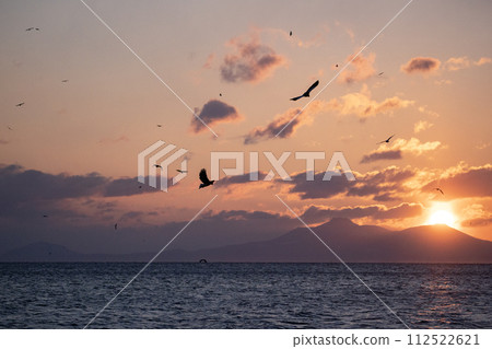 根室海峽的巨鷹 112522621