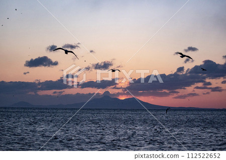 Great eagles in the Nemuro Strait 112522652