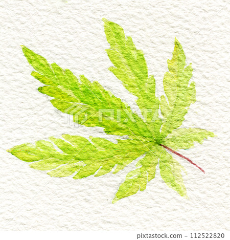 Green cannabis indica leaf painted in watercolor. Hand drawn marijuana illustration isolated on white watercolor paper 112522820