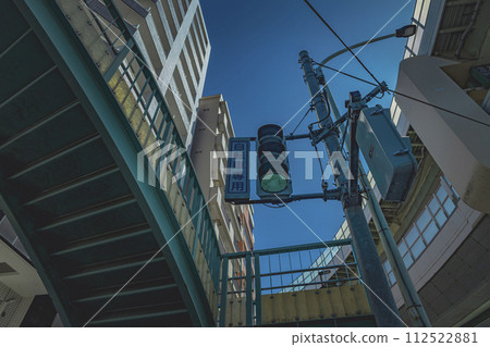 Bicycle signal looking up, green light 112522881