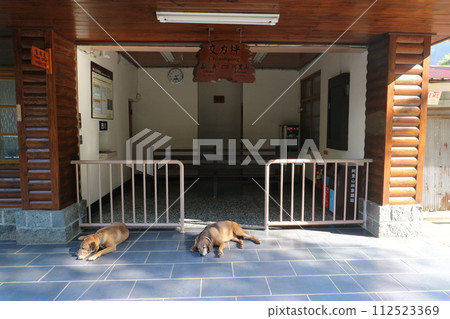 Alishan Forest Railway Jiaoliping Station station building Alishan Forest Railway Jiaoliping Station station building 112523369