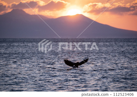 Great eagles in the Nemuro Strait 112523406