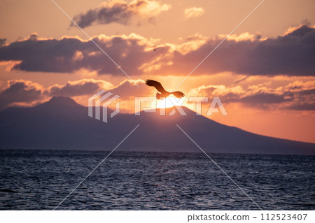 Great eagles in the Nemuro Strait Great eagles in the Nemuro Strait 112523407
