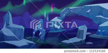 Arctic landscape at night with aurora borealis Arctic landscape at night with aurora borealis 112524160