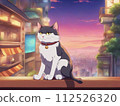 黃昏時分城市裡的貓 112526320
