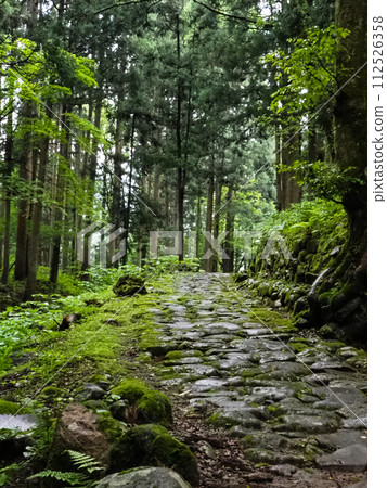 白山平泉寺院內石板路 白山平泉寺院內石板路 112526358