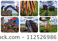 Carrot Harvesting - Carrot Harvester Unloading On The Go into a Tractor Trailer - Commercial Production of Carrots - Photo Collage 112526986
