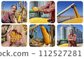 Corn Production - Happy Farmer Showing Freshly Harvested Corn Maize Grains Against Grain Silo - Combine Harvester Unloading Grain into Tractor Trailer - Photo Collage 112527281