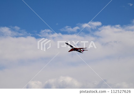 在仙台國際機場看到的飛機 在仙台國際機場看到的飛機 112527626