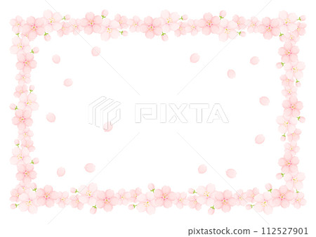 Cherry Blossom	 112527901