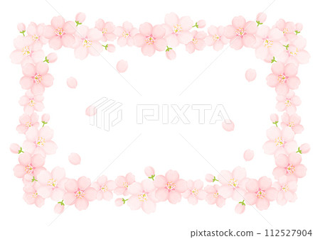 Cherry Blossom	 112527904