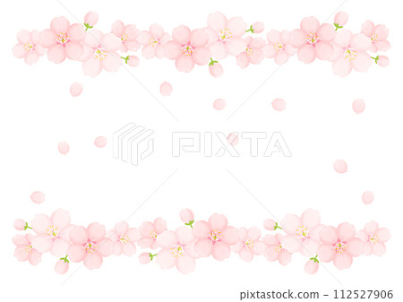 櫻花 112527906