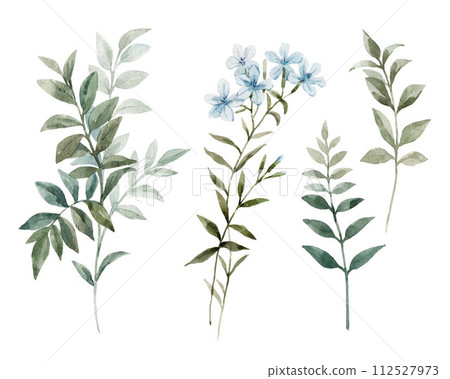 Set with watercolor leaves and flowers. Delicate plants and flowers. Botanical modern illustration. Clip art. Set with watercolor leaves and flowers. Delicate plants and flowers. Botanical modern illustration. Clip art. 112527973