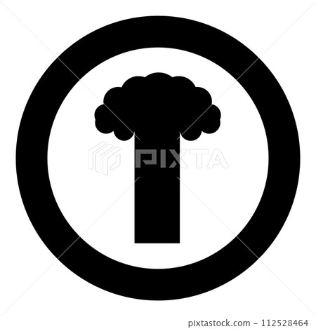 Nuclear explosion burst mushroom explosive destruction icon in circle round black color vector illustration image solid outline style 112528464