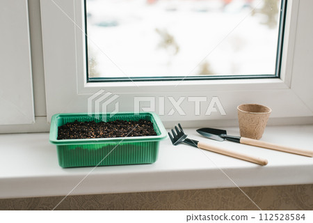 Container with peat and planted seeds with a garden tool at home on the windowsill Container with peat and planted seeds with a garden tool at home on the windowsill 112528584