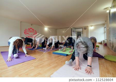 A group of senior women engage in various yoga exercises, including neck, back, and leg stretches, under the guidance of a trainer in a sunlit space, promoting well-being and harmony 112528604
