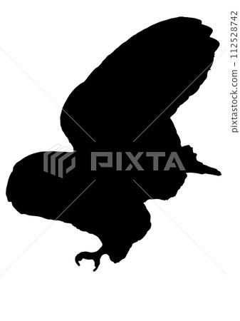 Silhouette of a barn owl with its wings spread Silhouette of a barn owl with its wings spread 112528742