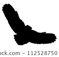 Silhouette of a horned owl flying with its wings spread wide 112528750