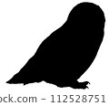 snowy owl silhouette 112528751