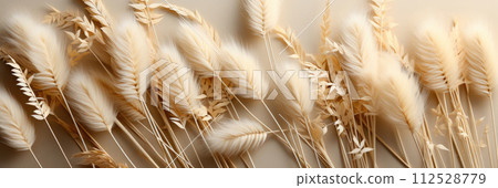 Fluffy tan pom pom plants bouquet on beige background. Minimal floral holiday composition. Rabbit bunny tales grass 112528779