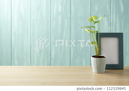 blue wall and syngonium and blue frame 112529945