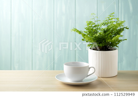 blue wall and adiantum and coffee cup 112529949
