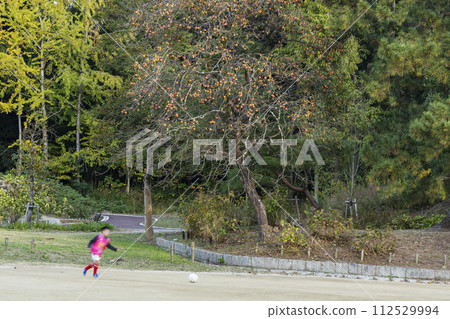 孩子們踢球的景象和柿子的豐收 112529994