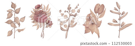 Watercolor clip-art of flowers and plants. Illustrations in coffee tones 112530003