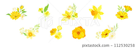 Yellow Blooming Flower as Garden Blossom Vector Set Yellow Blooming Flower as Garden Blossom Vector Set 112530258