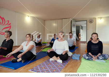 A group of senior women engage in various yoga exercises, including neck, back, and leg stretches, under the guidance of a trainer in a sunlit space, promoting well-being and harmony A group of senior women engage in various yoga exercises, including neck, back, and leg stretches, under the guidance of a trainer in a sunlit space, promoting well-being and harmony 112530290