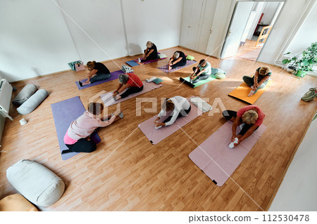 A group of senior women engage in various yoga exercises, including neck, back, and leg stretches, under the guidance of a trainer in a sunlit space, promoting well-being and harmony 112530478