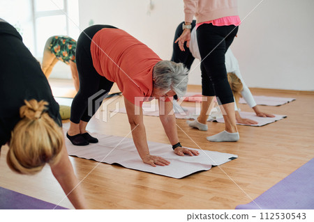 A group of senior women engage in various yoga exercises, including neck, back, and leg stretches, under the guidance of a trainer in a sunlit space, promoting well-being and harmony A group of senior women engage in various yoga exercises, including neck, back, and leg stretches, under the guidance of a trainer in a sunlit space, promoting well-being and harmony 112530543