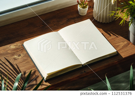 Books by the window on wooden windowsill in sunlight Books by the window on wooden windowsill in sunlight 112531376