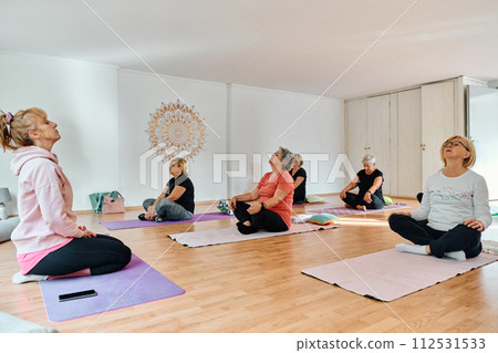A group of senior women engage in various yoga exercises, including neck, back, and leg stretches, under the guidance of a trainer in a sunlit space, promoting well-being and harmony A group of senior women engage in various yoga exercises, including neck, back, and leg stretches, under the guidance of a trainer in a sunlit space, promoting well-being and harmony 112531533