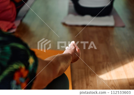 In this sunlit space, a senior woman's hand gracefully engages in various yoga poses, embodying the essence of active aging, health, and inner peace In this sunlit space, a senior woman's hand gracefully engages in various yoga poses, embodying the essence of active aging, health, and inner peace 112533603