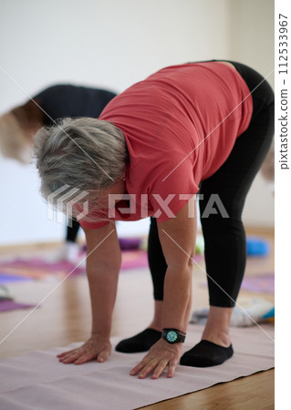 A group of senior women engage in various yoga exercises, including neck, back, and leg stretches, under the guidance of a trainer in a sunlit space, promoting well-being and harmony A group of senior women engage in various yoga exercises, including neck, back, and leg stretches, under the guidance of a trainer in a sunlit space, promoting well-being and harmony 112533967