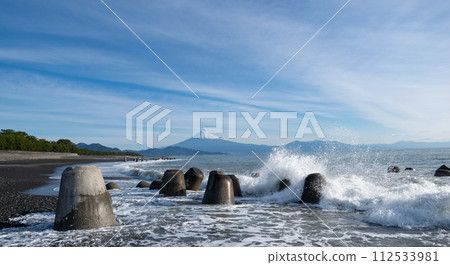 Mt. Fuji and the beach 112533981