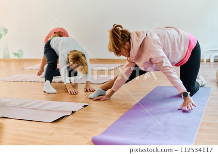 A group of senior women engage in various yoga exercises, including neck, back, and leg stretches, under the guidance of a trainer in a sunlit space, promoting well-being and harmony A group of senior women engage in various yoga exercises, including neck, back, and leg stretches, under the guidance of a trainer in a sunlit space, promoting well-being and harmony 112534117