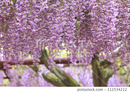 富士752 富士752 112534212