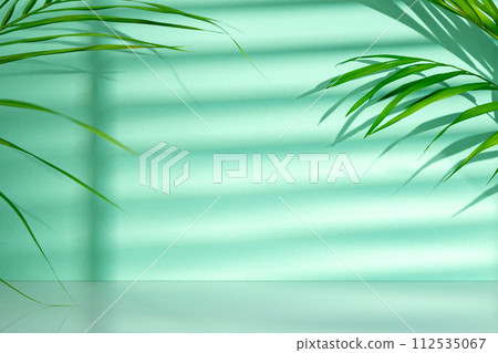 Tropical leaves palm tree on a mint background 112535067