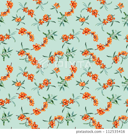 Watercolor seamless pattern with medicinal plant sea buckthorn branches. Hand drawn botanical illustration on isolated background for wrapping wallpaper fabric textile Watercolor seamless pattern with medicinal plant sea buckthorn branches. Hand drawn botanical illustration on isolated background for wrapping wallpaper fabric textile 112535416