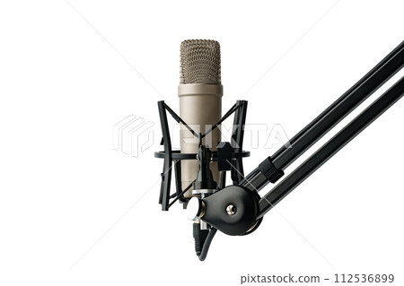 Professional studio microphone on the white background Professional studio microphone on the white background 112536899