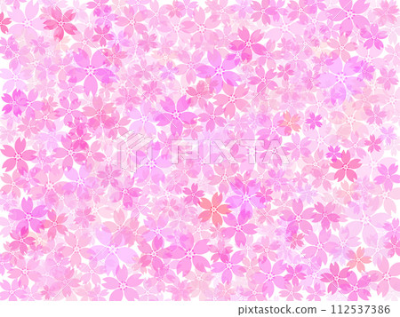 盛開的櫻花背景素材 112537386